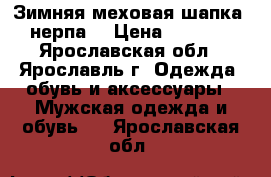 Зимняя меховая шапка (нерпа) › Цена ­ 5 000 - Ярославская обл., Ярославль г. Одежда, обувь и аксессуары » Мужская одежда и обувь   . Ярославская обл.